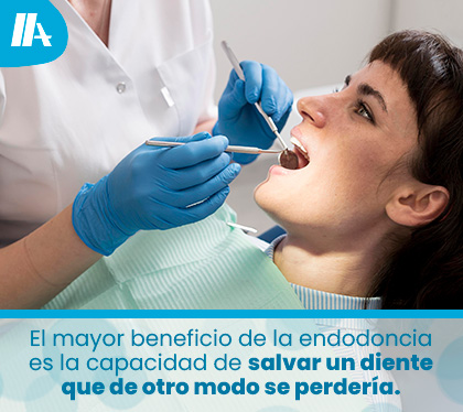 Dentista Realiza Endodoncia para Salvarle un Diente a Paciente