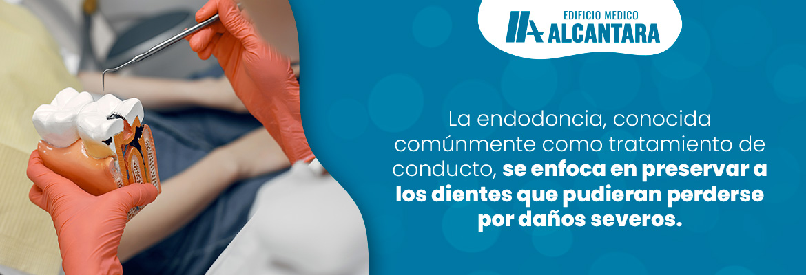 Dentistas Explican Qu es y Para Qu Sirve una Endodoncia?